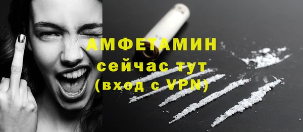 винт Бородино