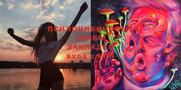 бошки Бронницы