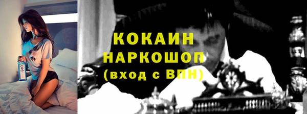винт Бородино