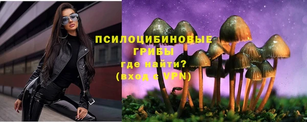 винт Бородино