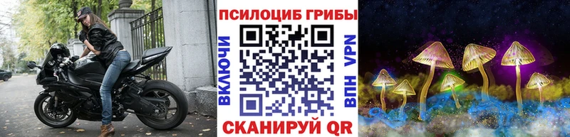 продажа наркотиков  mega маркетплейс  Галлюциногенные грибы прущие грибы  Люберцы 